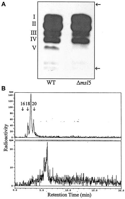 FIG. 2.