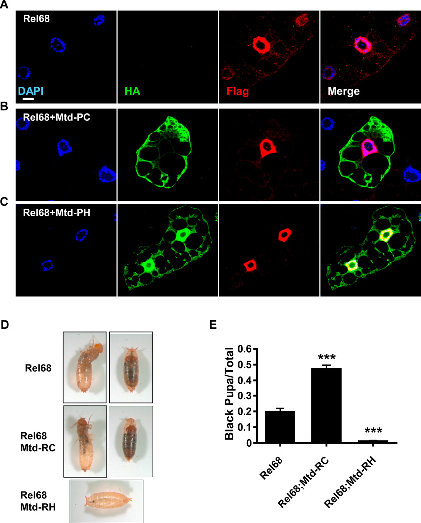 Figure 10