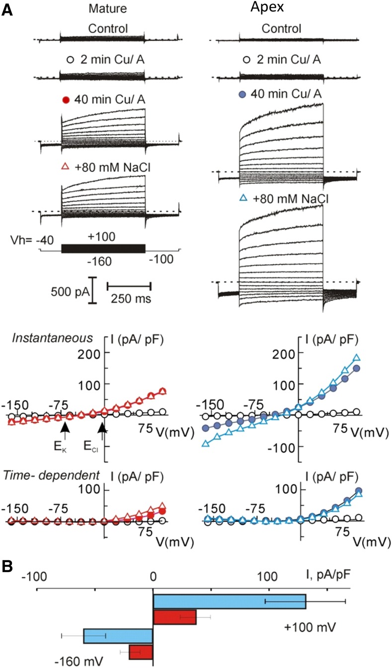 Figure 6.