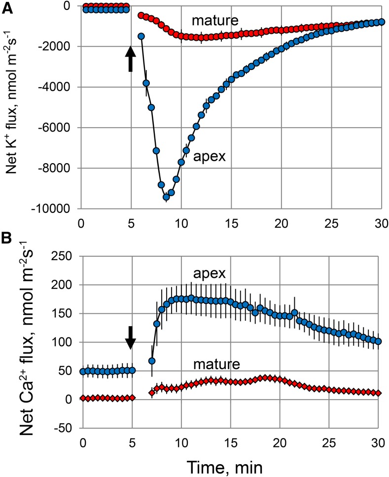 Figure 5.