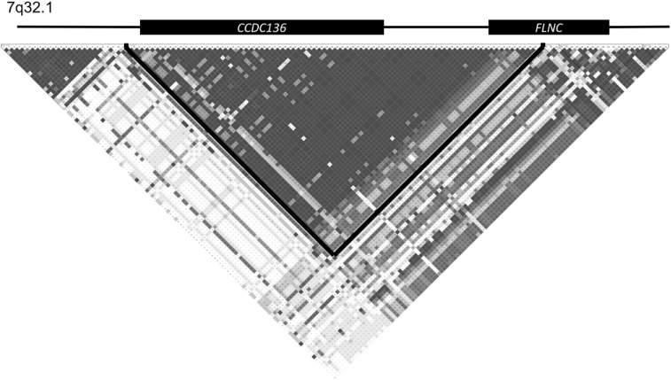 Fig. 2