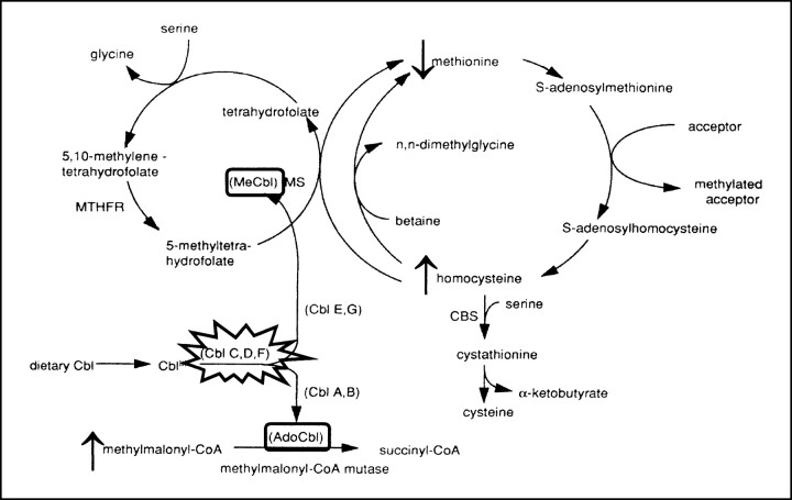 fig 5.