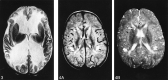 <sc>fig</sc> 3.