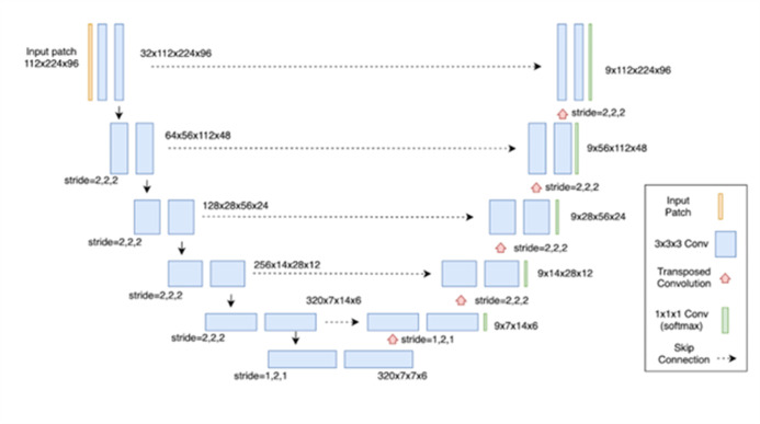 Figure 1—figure supplement 1.