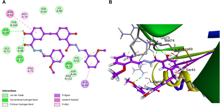 FIGURE 10