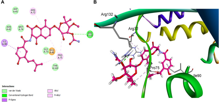 FIGURE 11