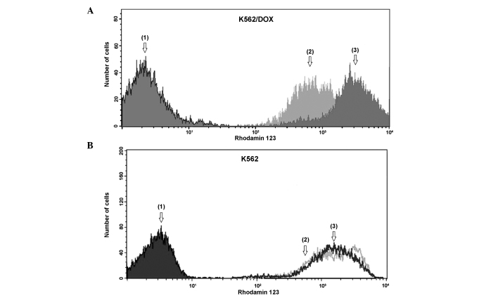 Figure 2.