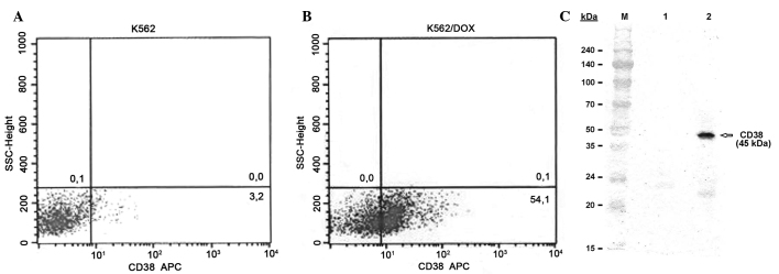 Figure 3.