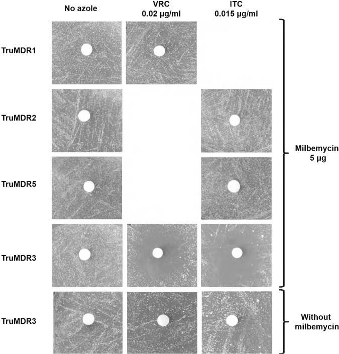 FIG 3