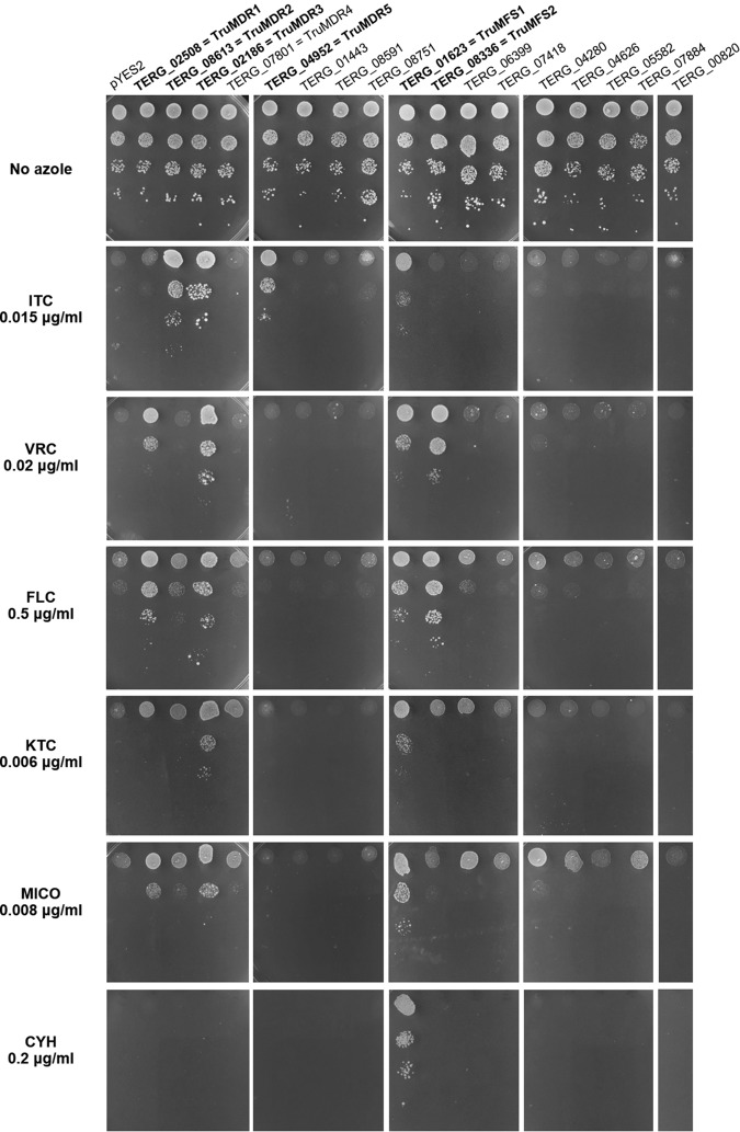 FIG 2