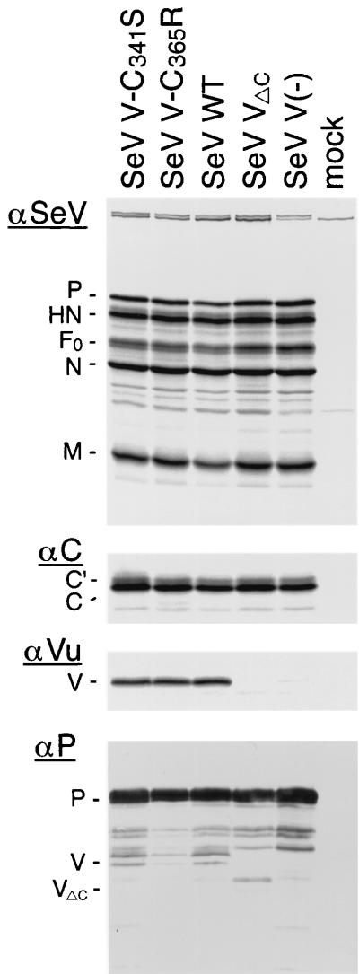 FIG. 5