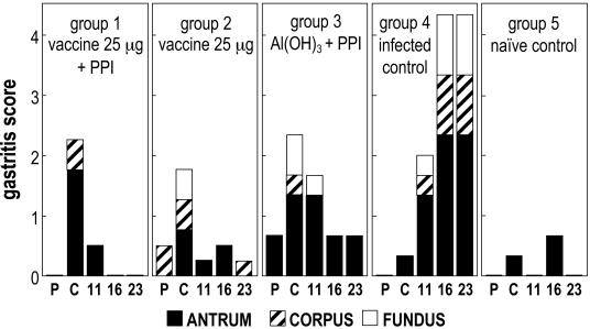 FIG. 4.