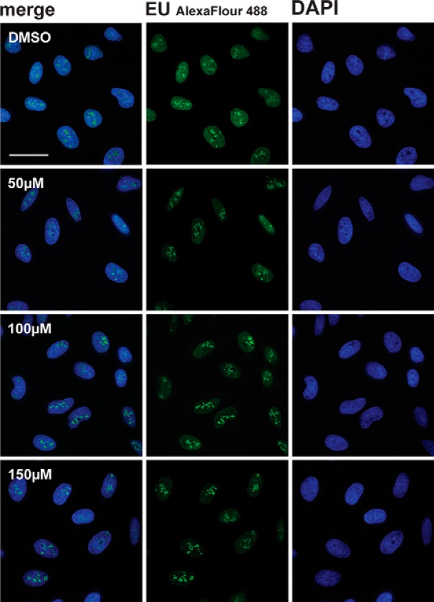 FIGURE 11.