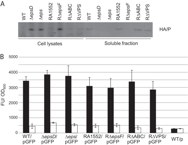 FIG 6