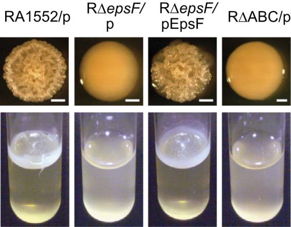 FIG 3