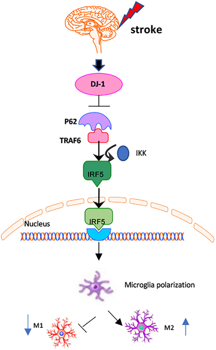 FIGURE 9