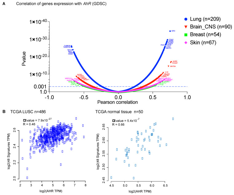 AhR and Cancer: From Gene Profiling to Targeted Therapy - PMC