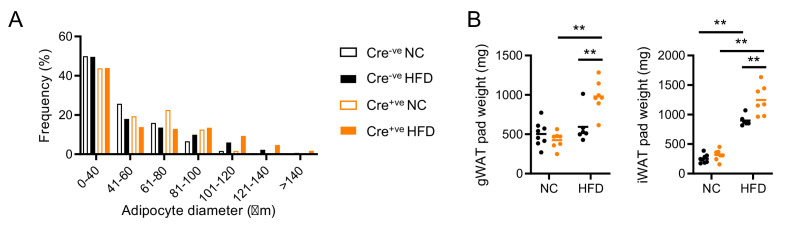 Figure 4—figure supplement 1.