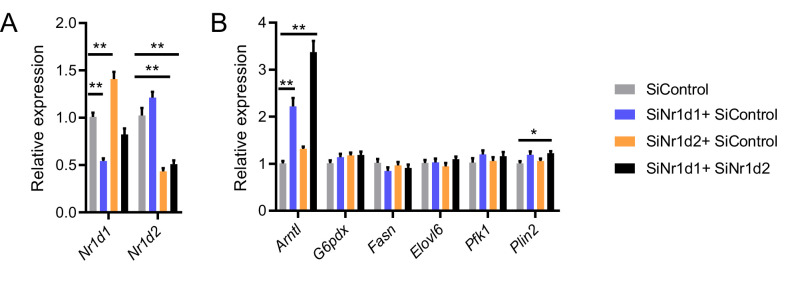 Figure 3—figure supplement 1.