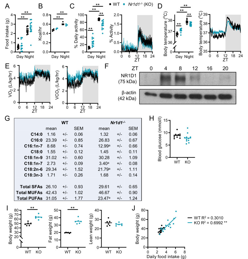 Figure 1—figure supplement 1.