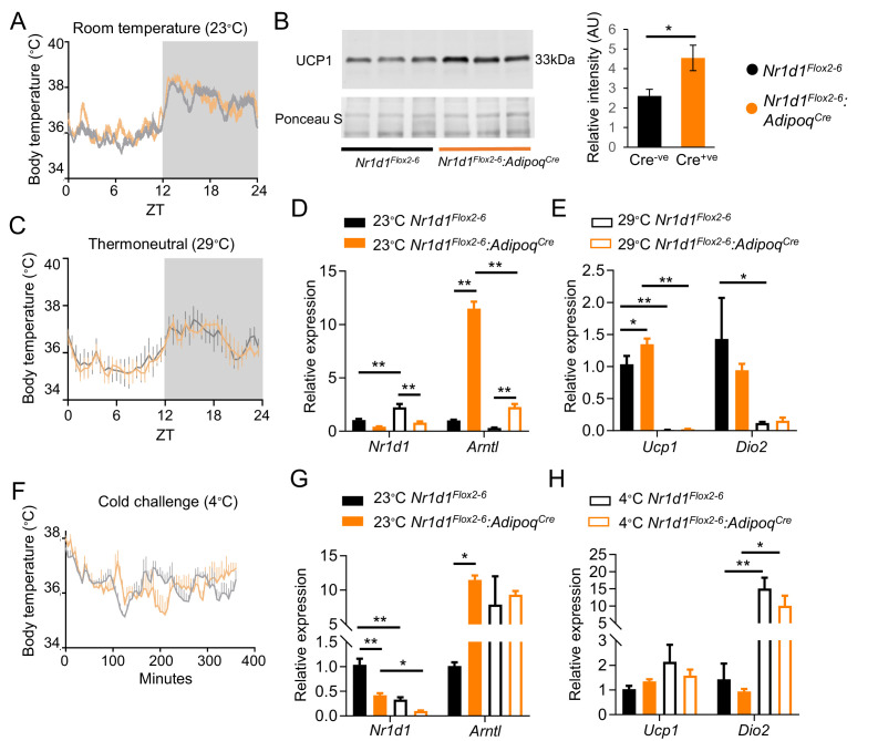 Figure 2—figure supplement 1.