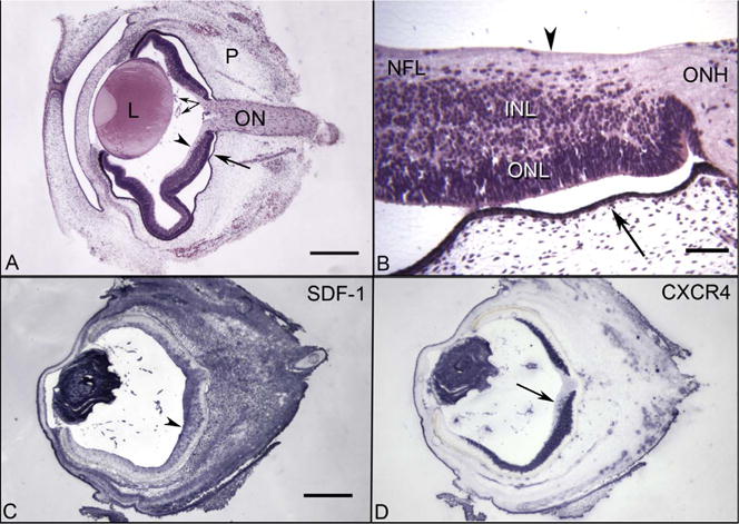 Fig. 17