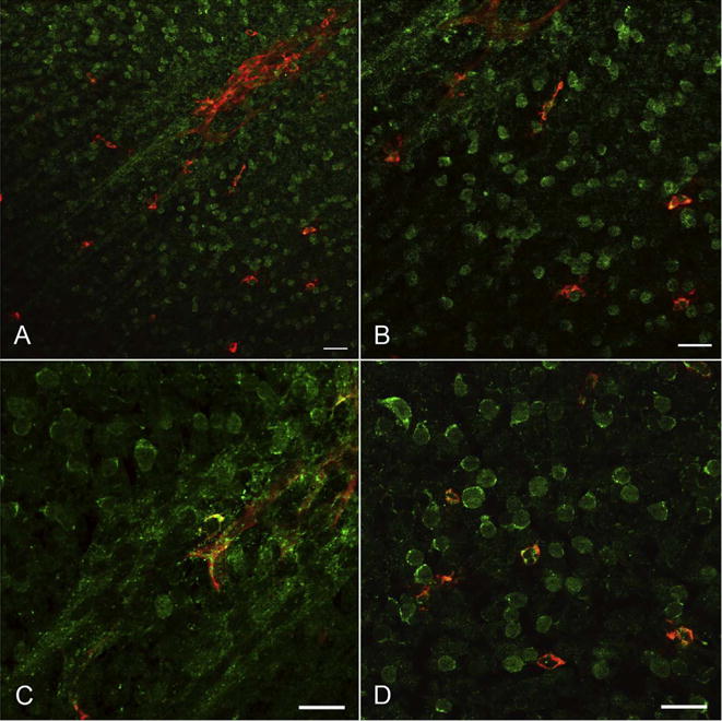 Fig. 23