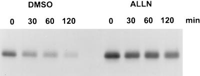 FIG. 5