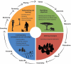 A decision-making framework to implement fire and biodiversity management under novel fire regimes.