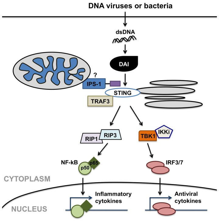 FIGURE 2