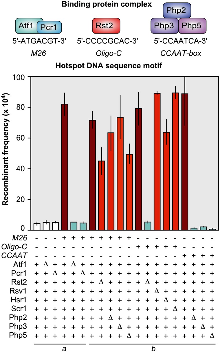 Figure 2.