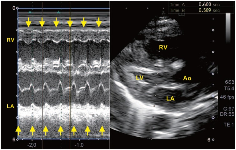 Figure 2.