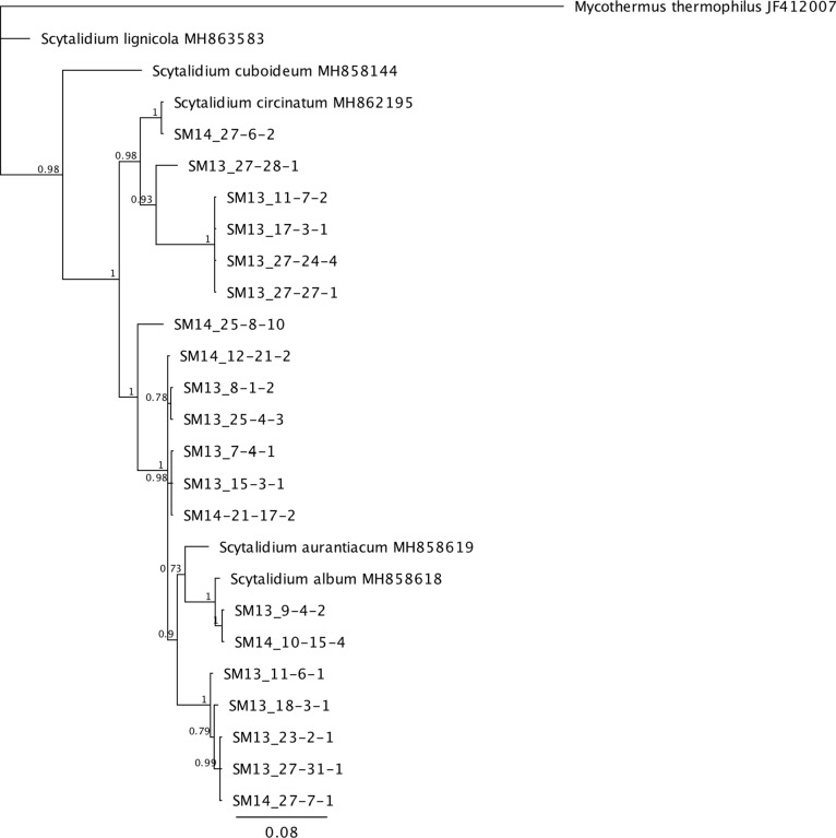 Fig 2