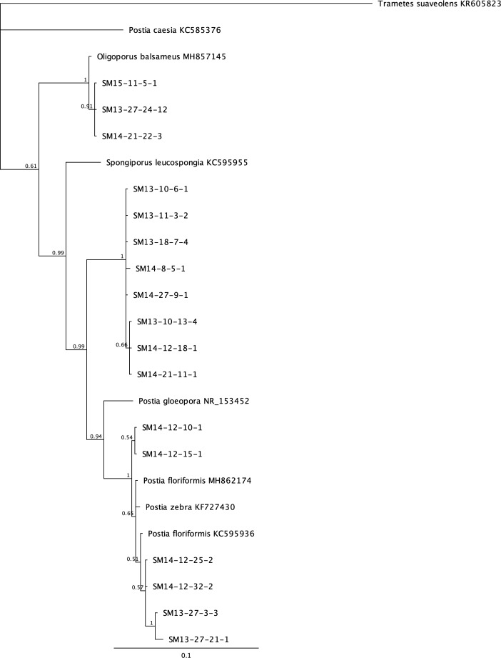 Fig 3