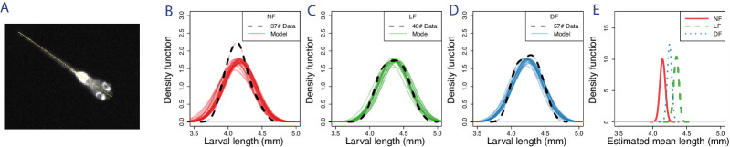 Appendix 1—figure 1.