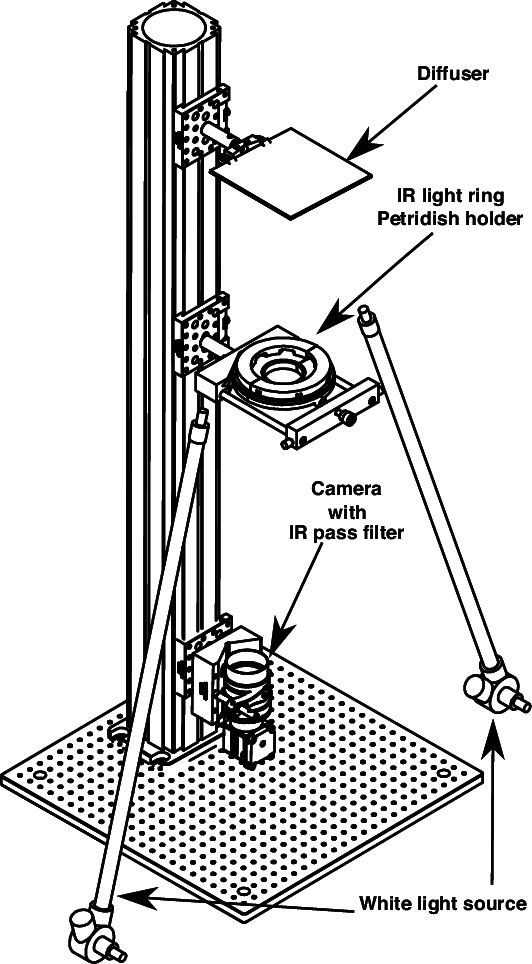 Appendix 2—figure 1.