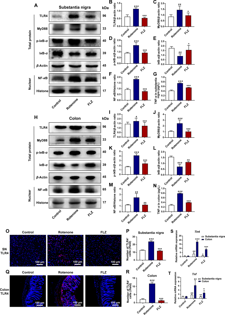 Figure 7