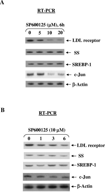 FIG. 5.