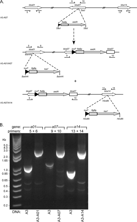 FIG. 4.