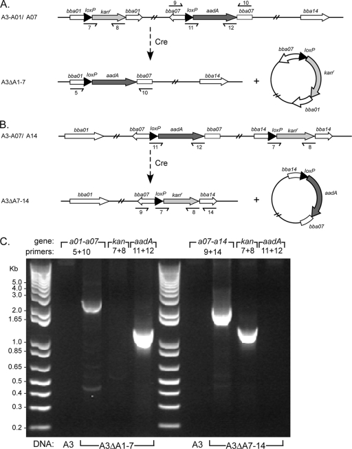 FIG. 5.