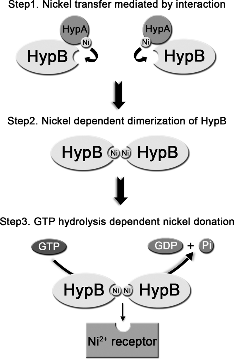 FIGURE 10.