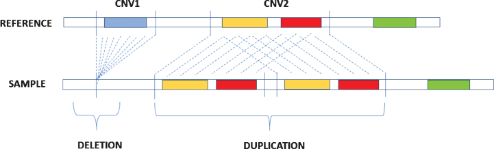 Fig.1