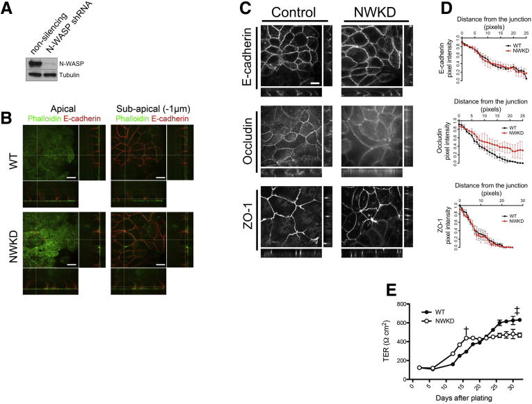 Figure 3