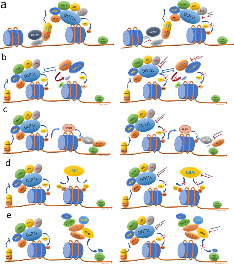 Fig. 7