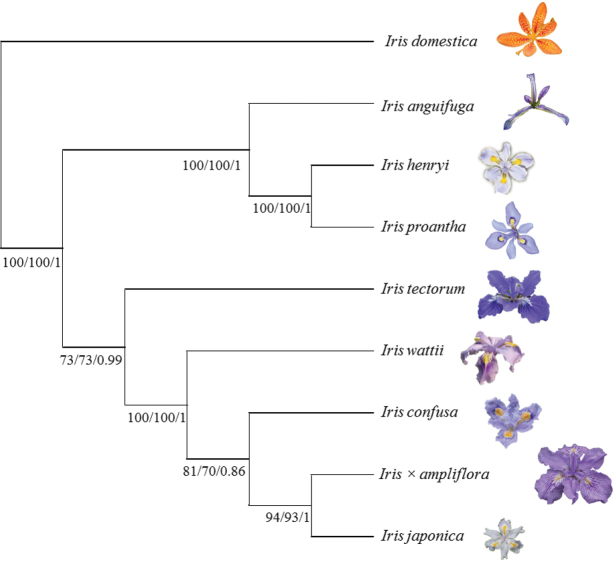 Figure 3.