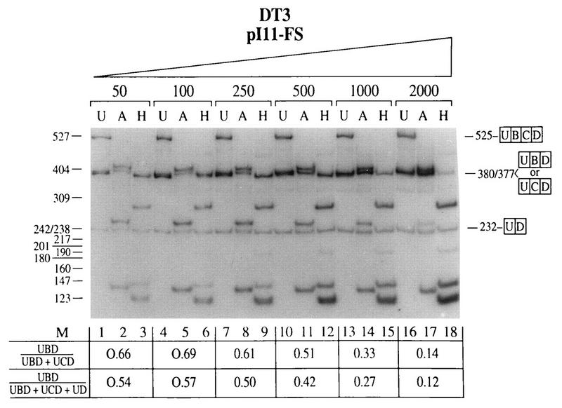 FIG. 7