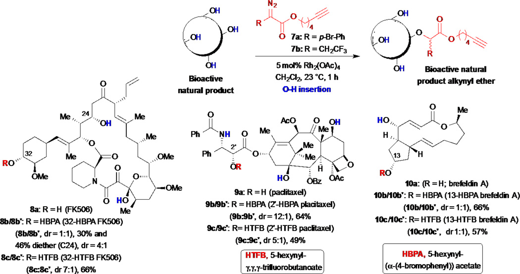 Scheme 2