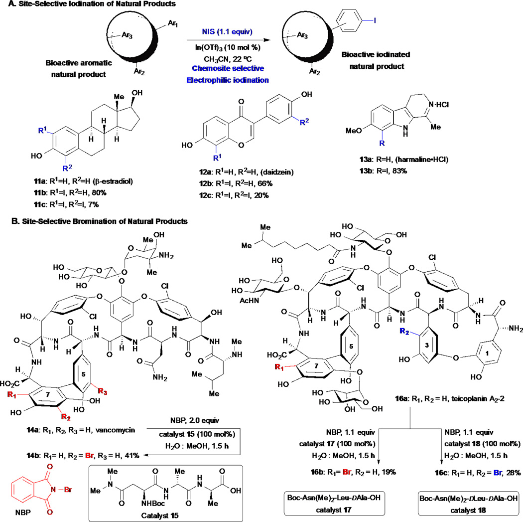 Scheme 3