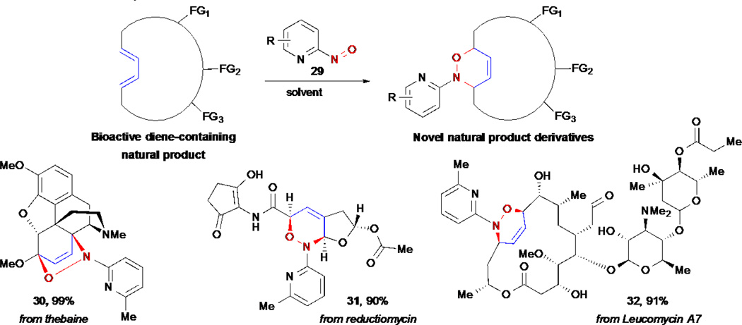 Scheme 6