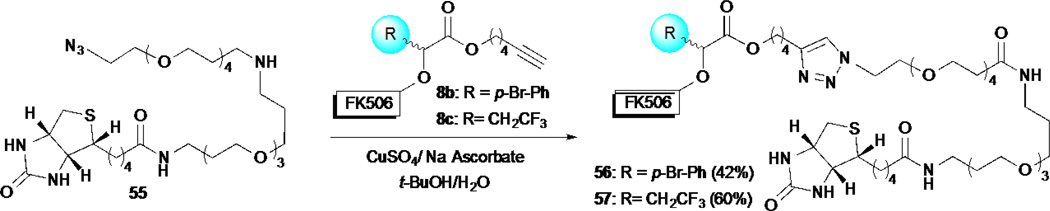 Scheme 11